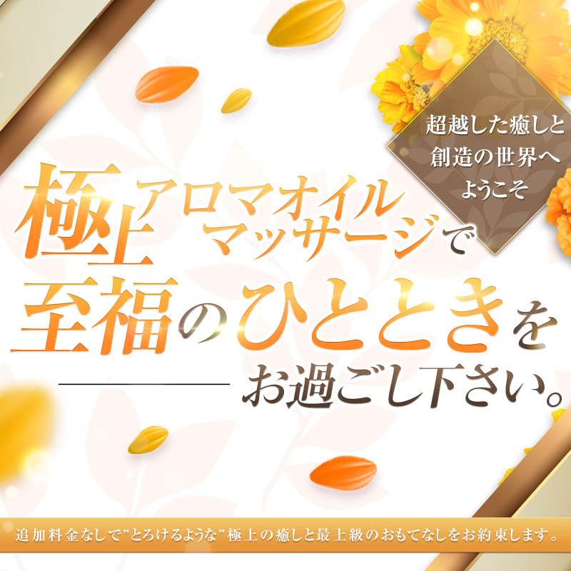 追加料金一切なし